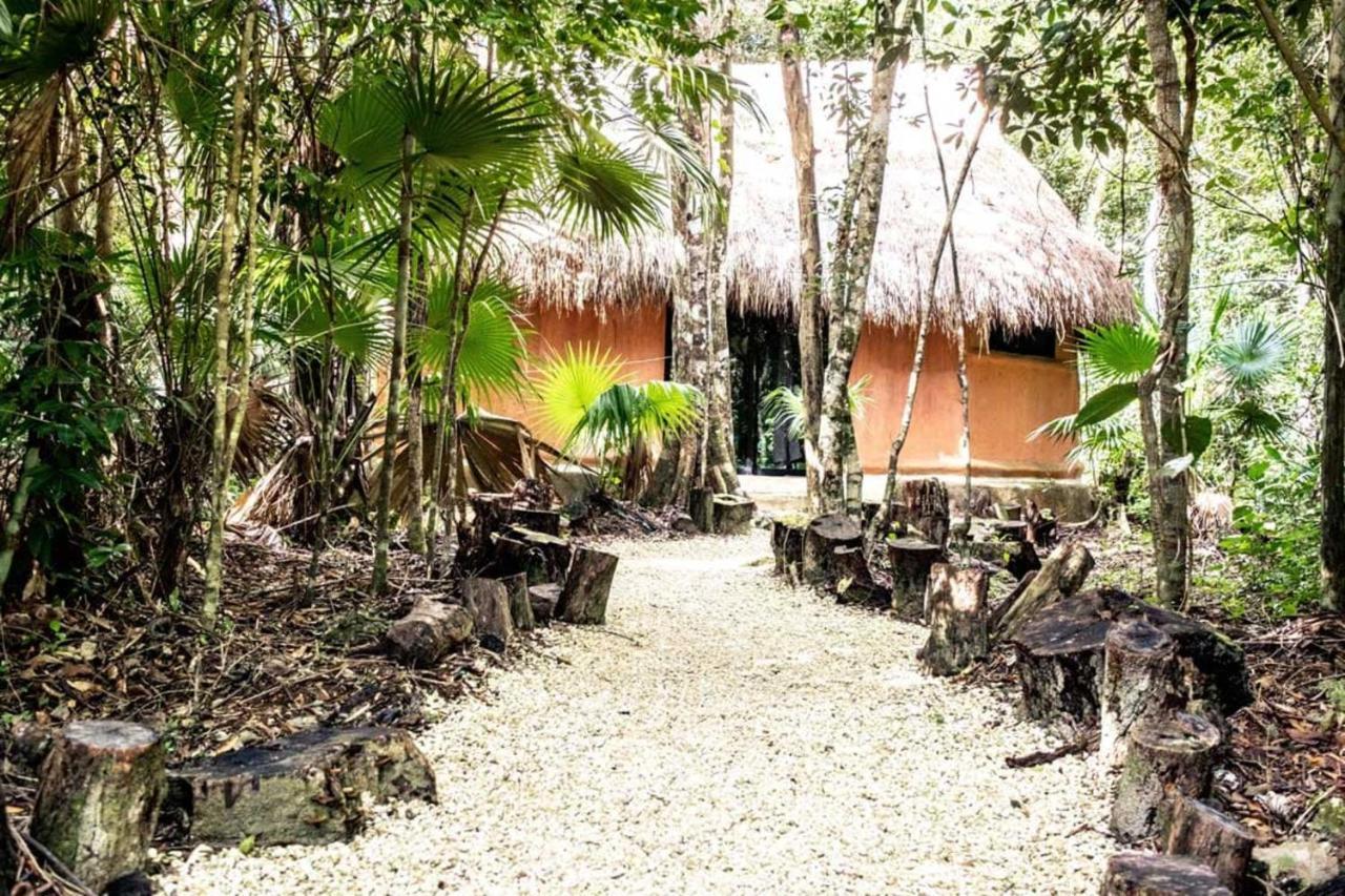 Jolie Jungle Eco (adults Only) Hotel Leona Vicario