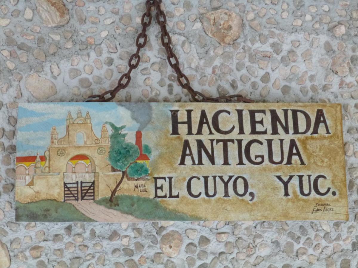 Hacienda Antigua Villa, 50m From Sandy Apartment