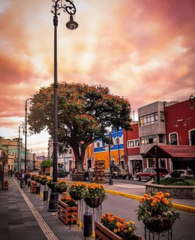 Apartment D-spitia En Renta Atlixco