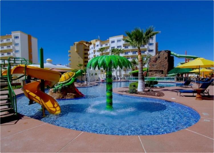 Palmas