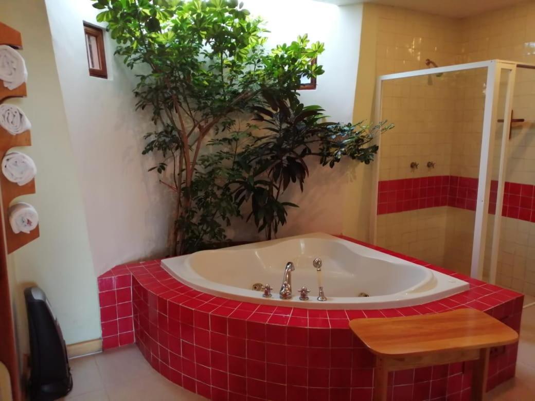 Casa Tsaya Boutique 3* Bernal