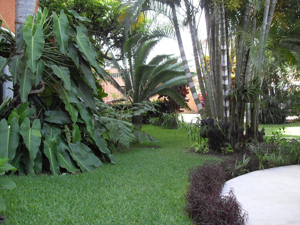 Playa Cristal 3*