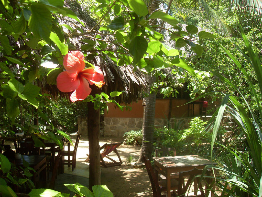 Lo Cosmico Hotel Zipolite