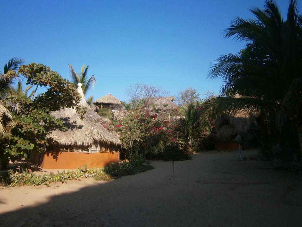 Lo Cosmico Zipolite
