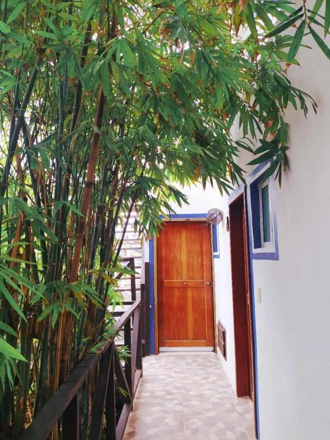 Jardin * Mahahual