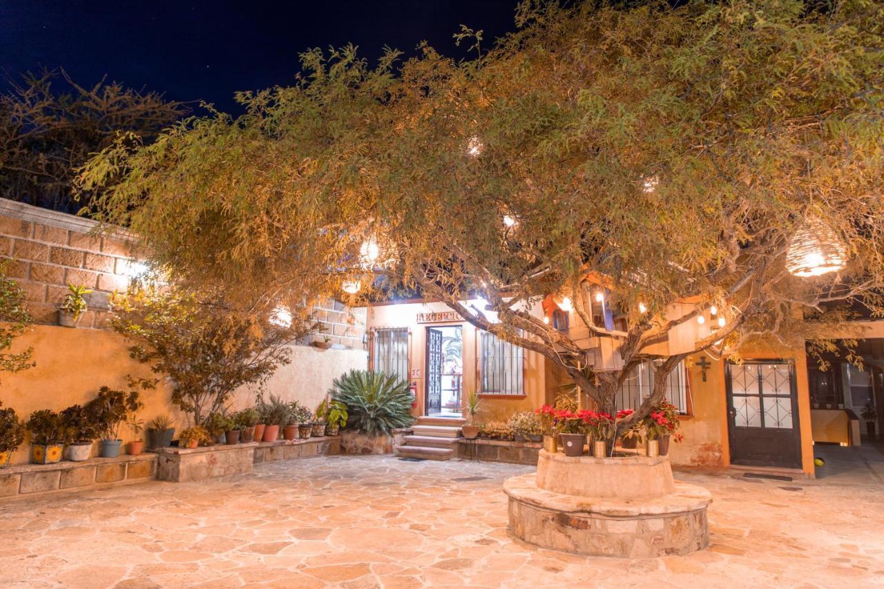 Casa Del Arbol *