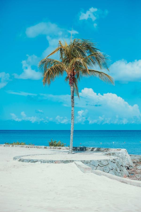 Beach House Luxury Vacation - Paradise Has 2 Private Master Suites Ocean & Garden View Bed & Breakfast