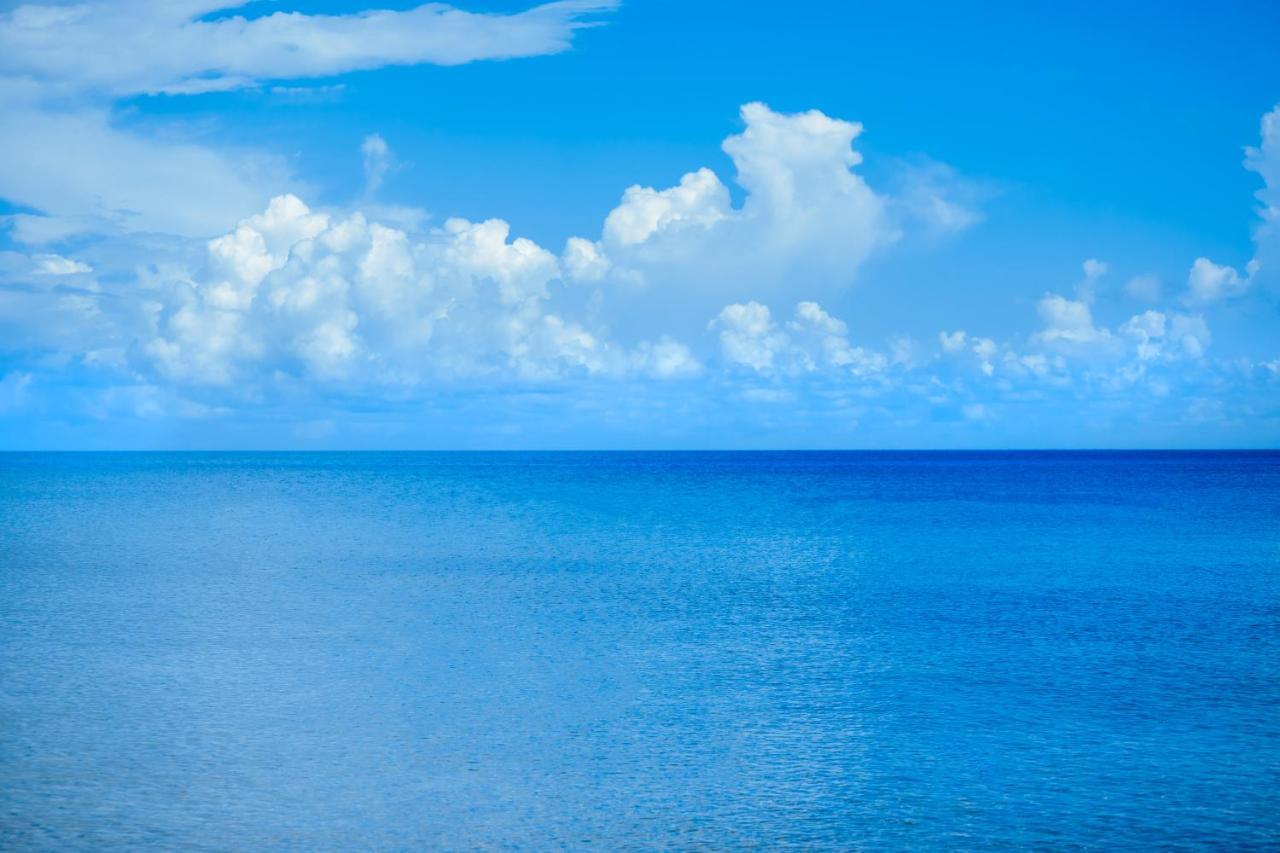 Beach House Luxury Vacation - Paradise Has 2 Private Master Suites Ocean & Garden View Bed & Breakfast
