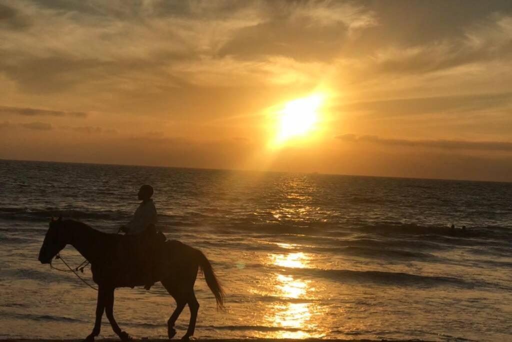 De Mejores Vistas Del