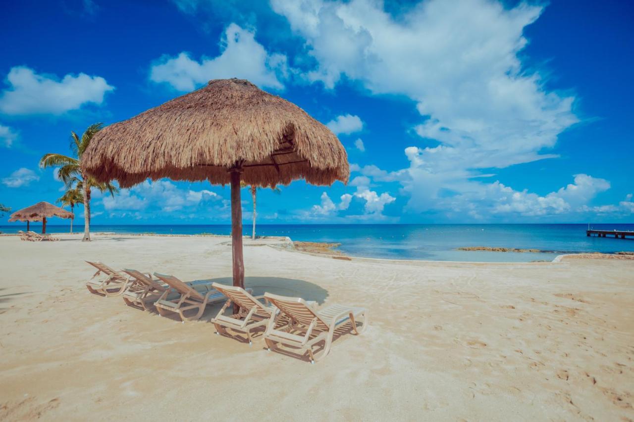 Beach House Luxury Vacation - Paradise Has 2 Private Master Suites Ocean & Garden View Bed & Breakfast *