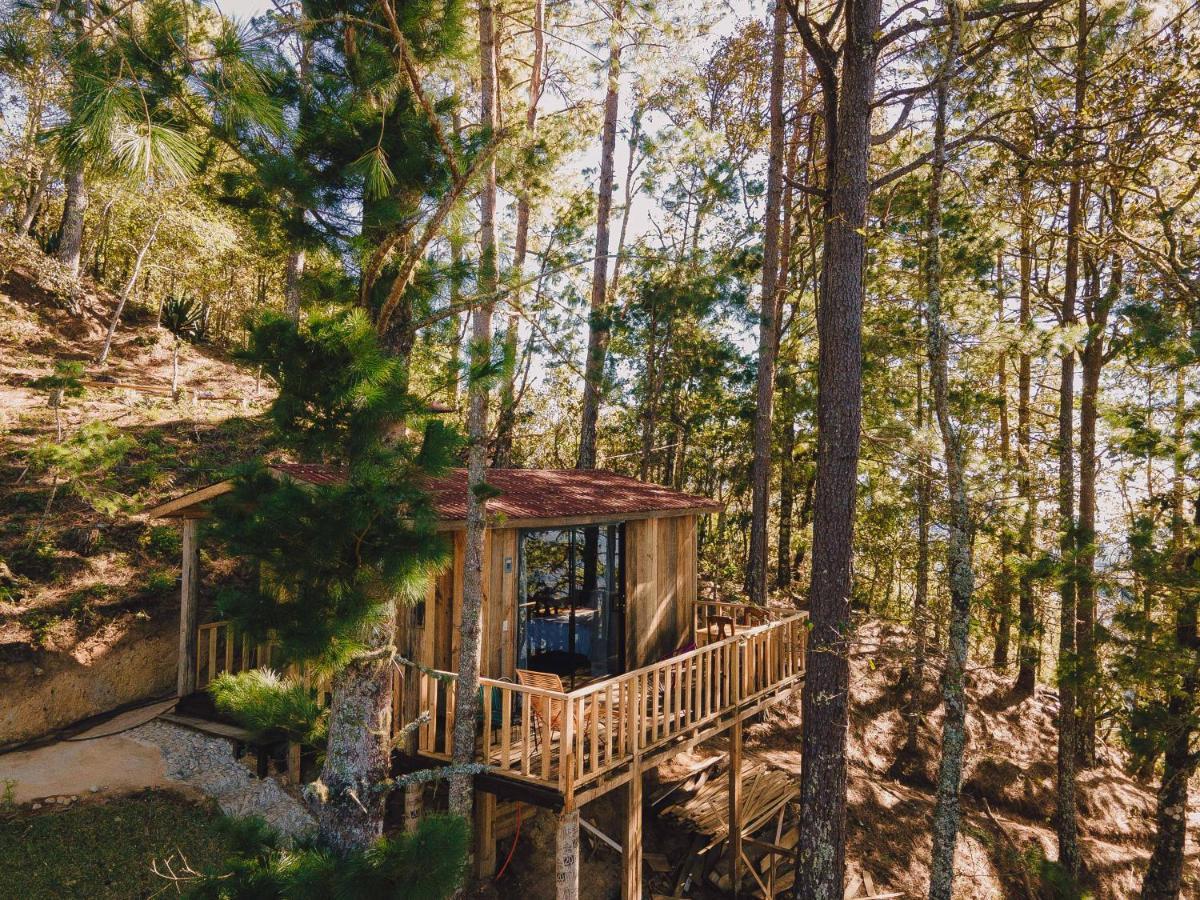 Lodge Rancho Viejo