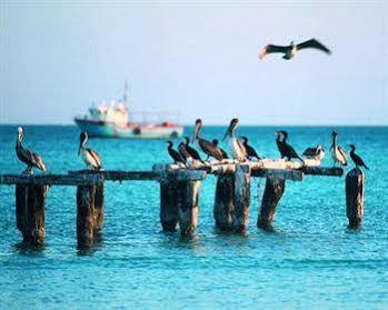 Hotel Palapas Gonzas Isla Holbox