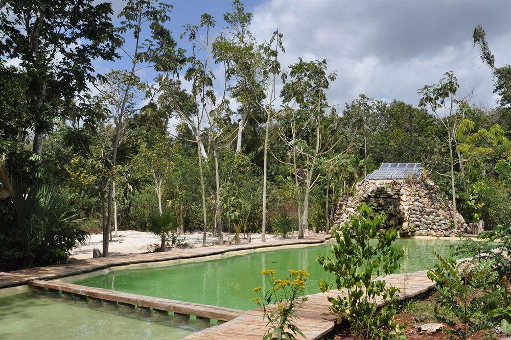 Jolie Jungle Eco (adults Only) Hotel