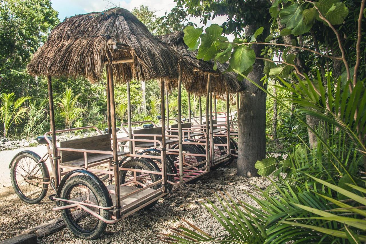 Hotel Roc Jungle Tulum