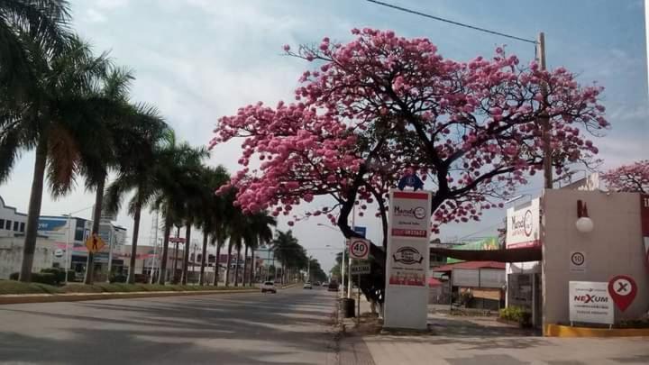 Riviera Ciudad Valles