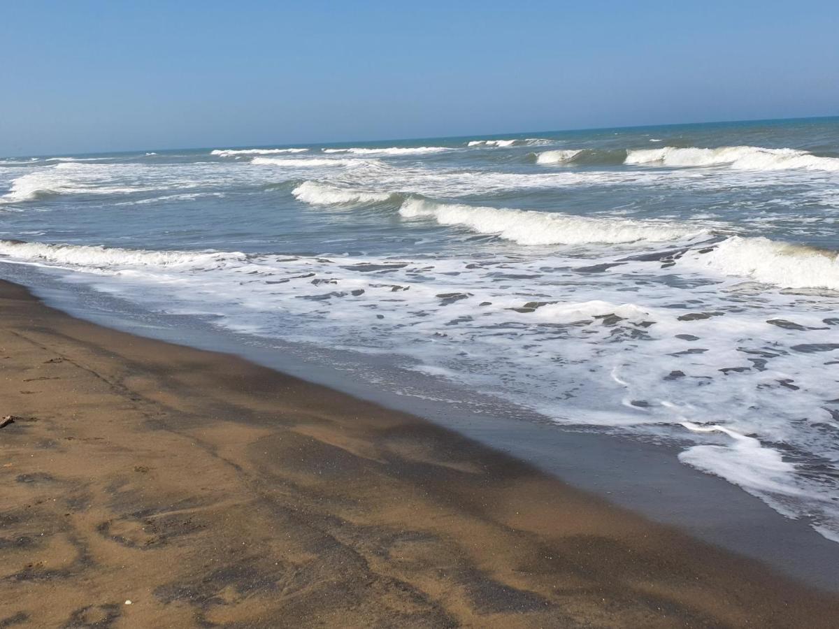 Casa Tulipanes, Casitas-tecolutla,casa De Playa Completa *