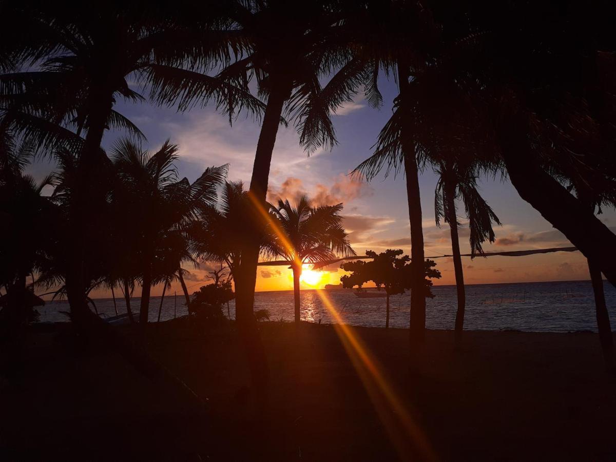 Lodge Palmeras De *