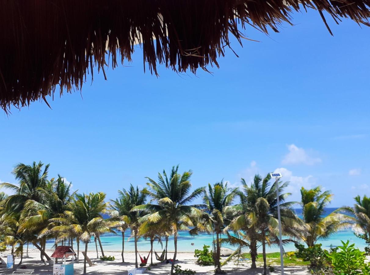 Palmeras De Mahahual
