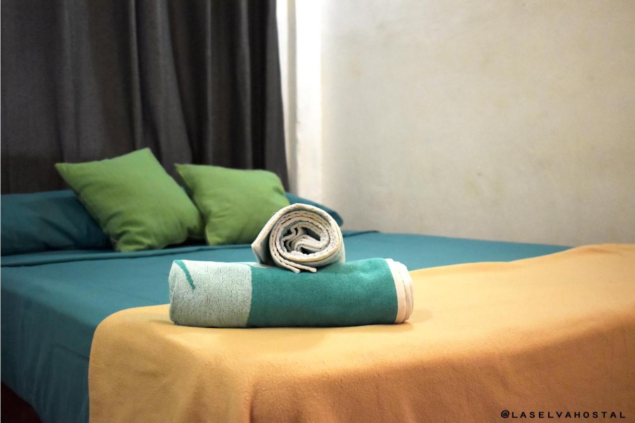 Guest house La Selva