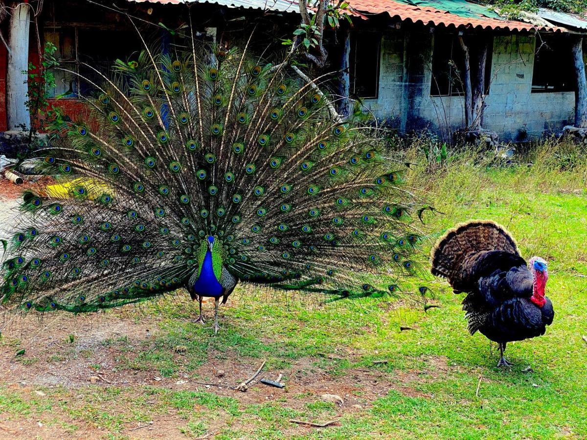 Hotel Rancho Reencuentro Eco & Cabalgatas *