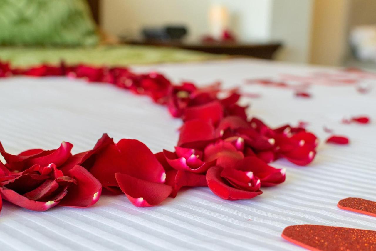Hotel San Carlos 4*