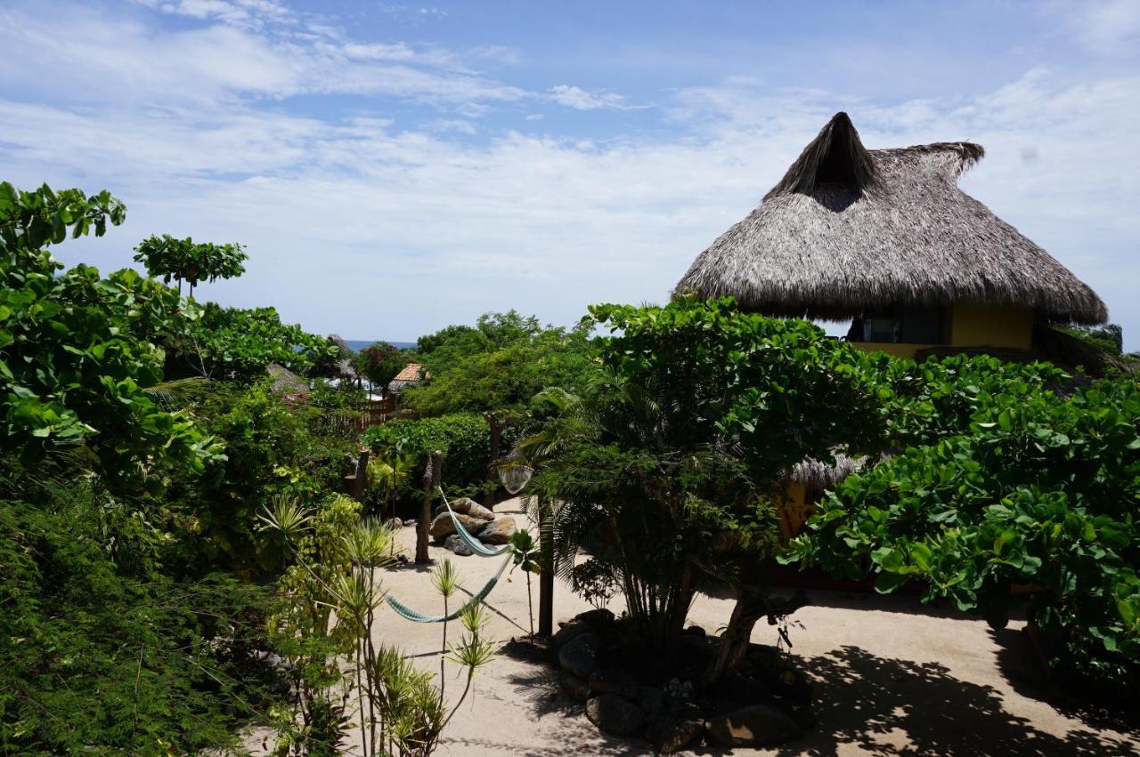 Point Hostel Troncones