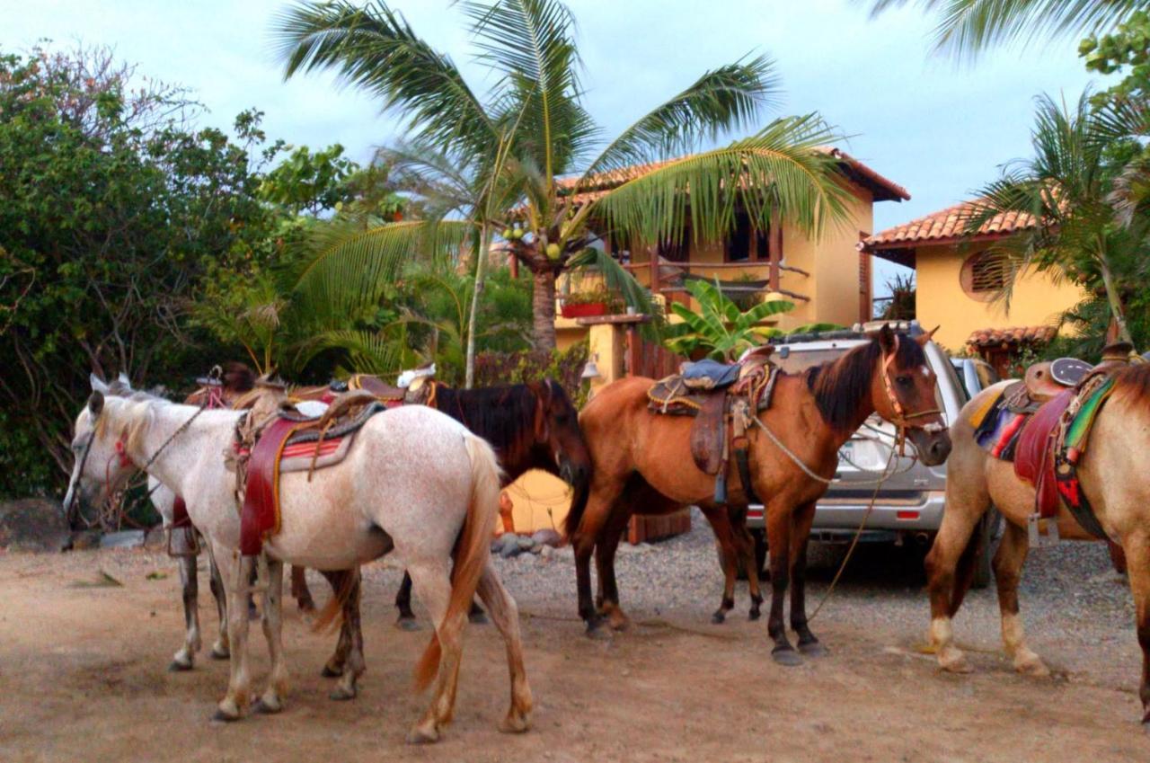 Hostel Point Troncones