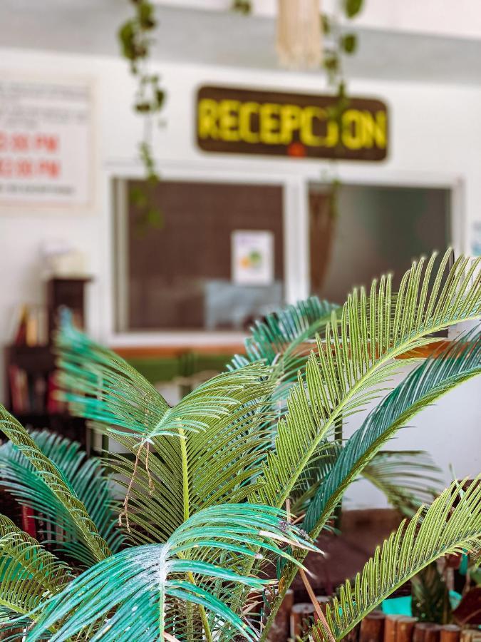 Golden Paradise Isla Holbox