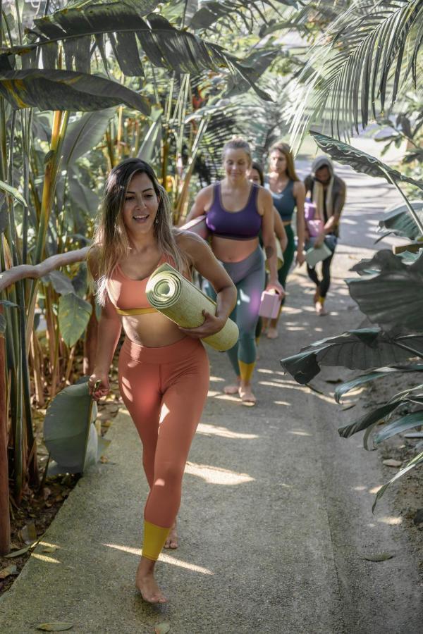 Maraica San Pancho