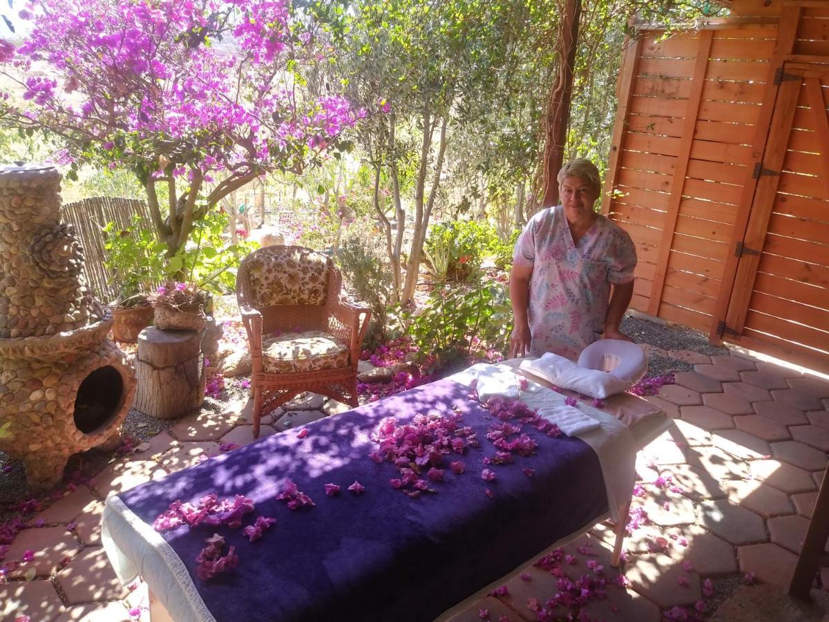 Vinofilia Wine Country 3* Valle de Guadalupe