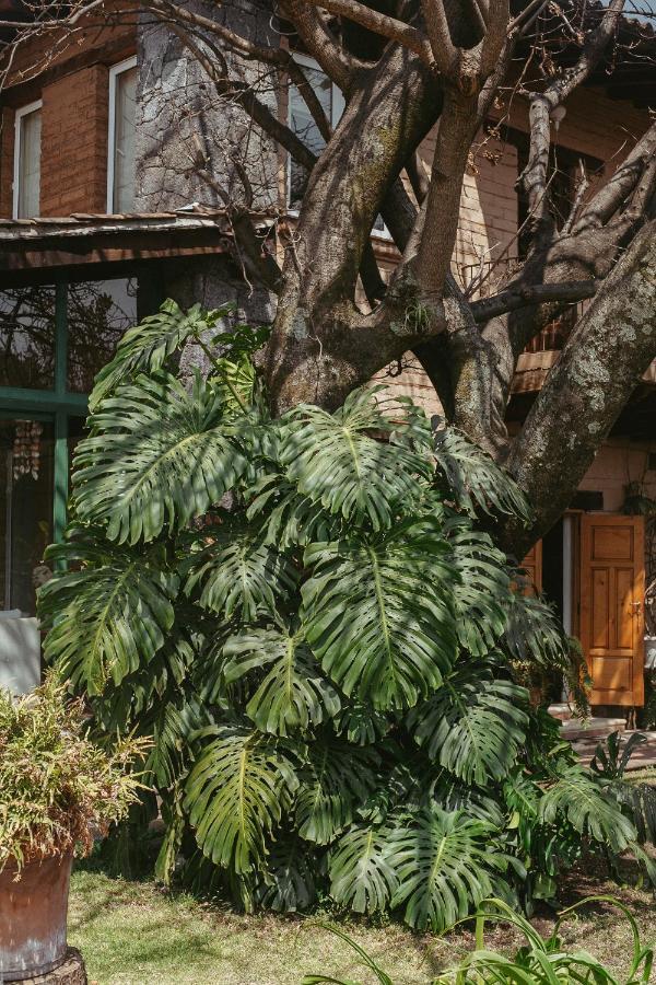 Quinta Cielo - Boutique Y Restaurante Bed & Breakfast Malinalco