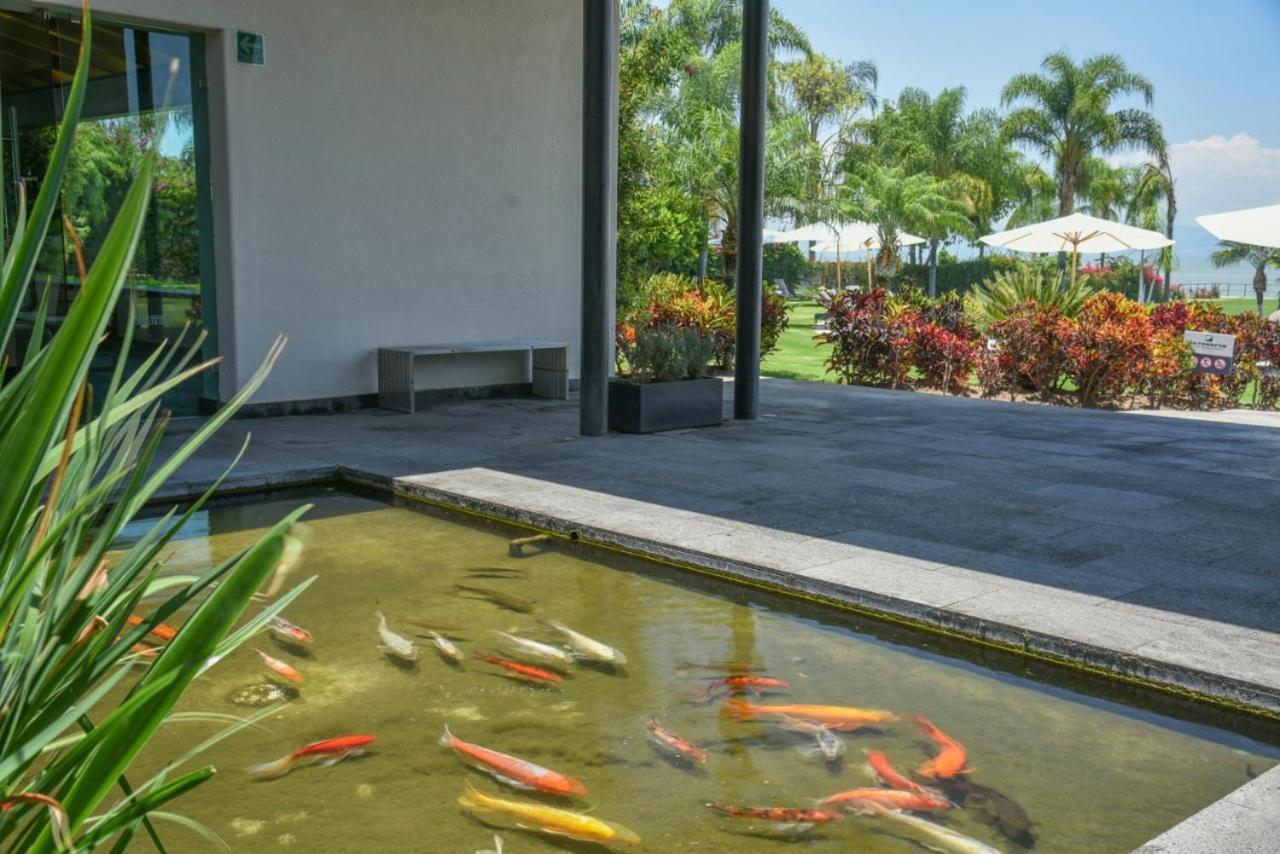 La Reserva Chapala Ajijic