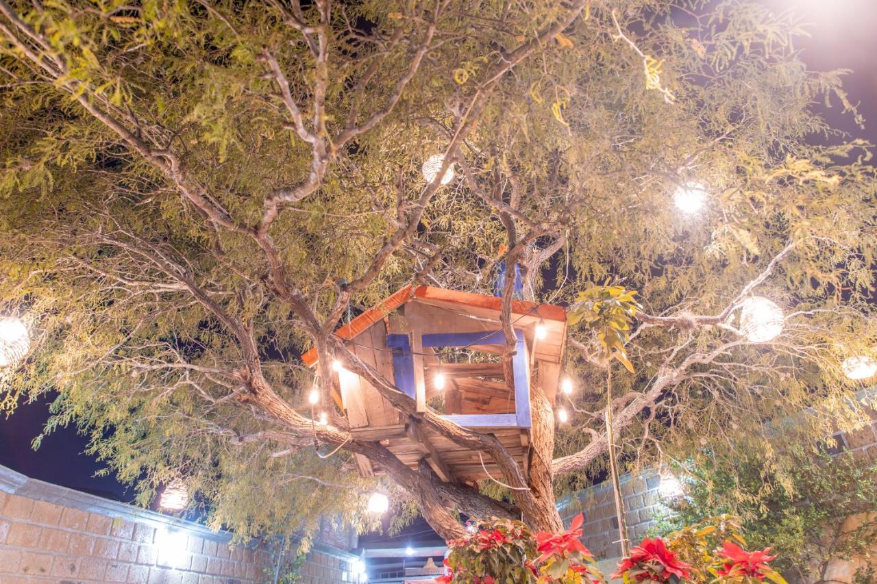 Casa Del Arbol *