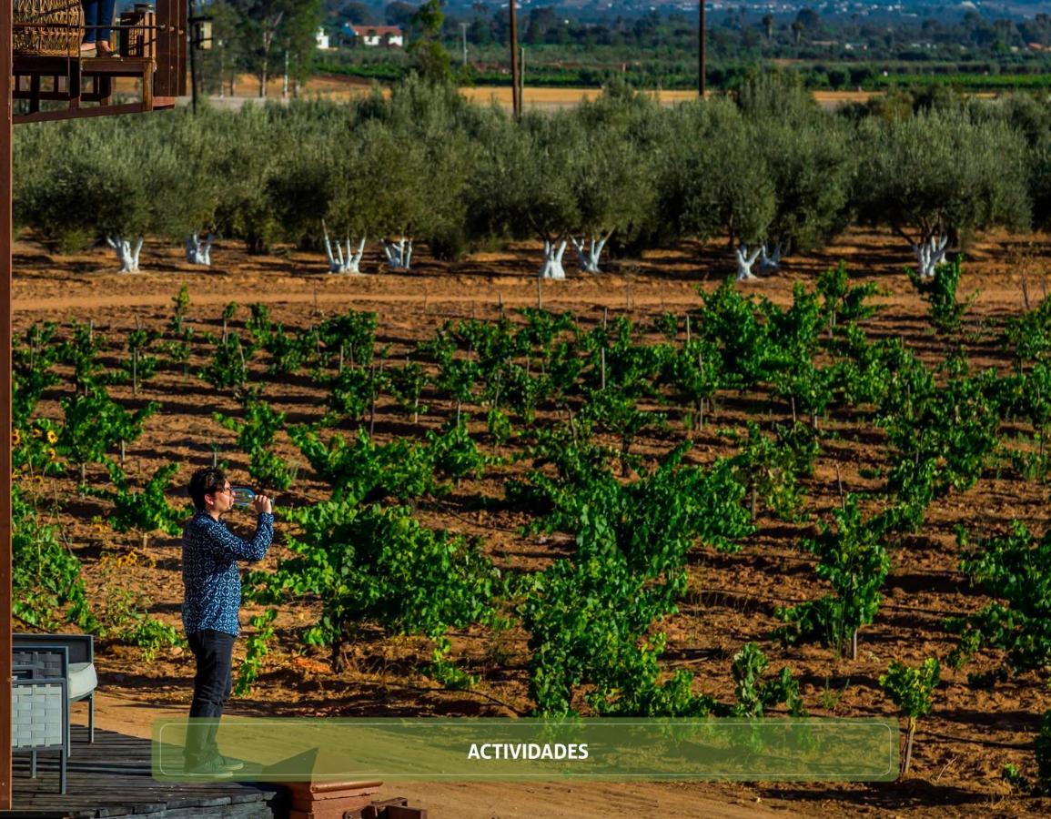 Entre Vinedos By Boutique Hotel Valle de Guadalupe