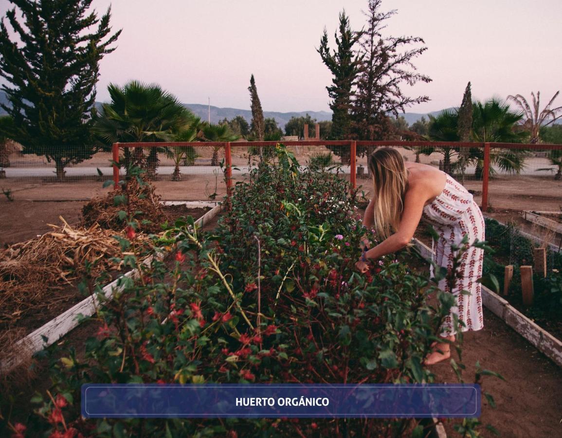 Entre Vinedos By Boutique 3* Valle de Guadalupe