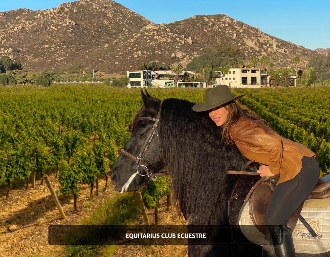Hotel Entre Vinedos By Boutique Valle de Guadalupe