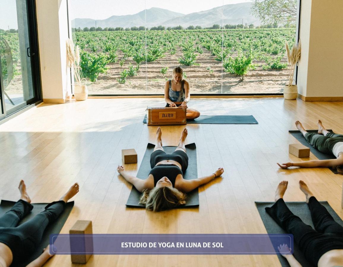 Entre Vinedos By Boutique Hotel 3*