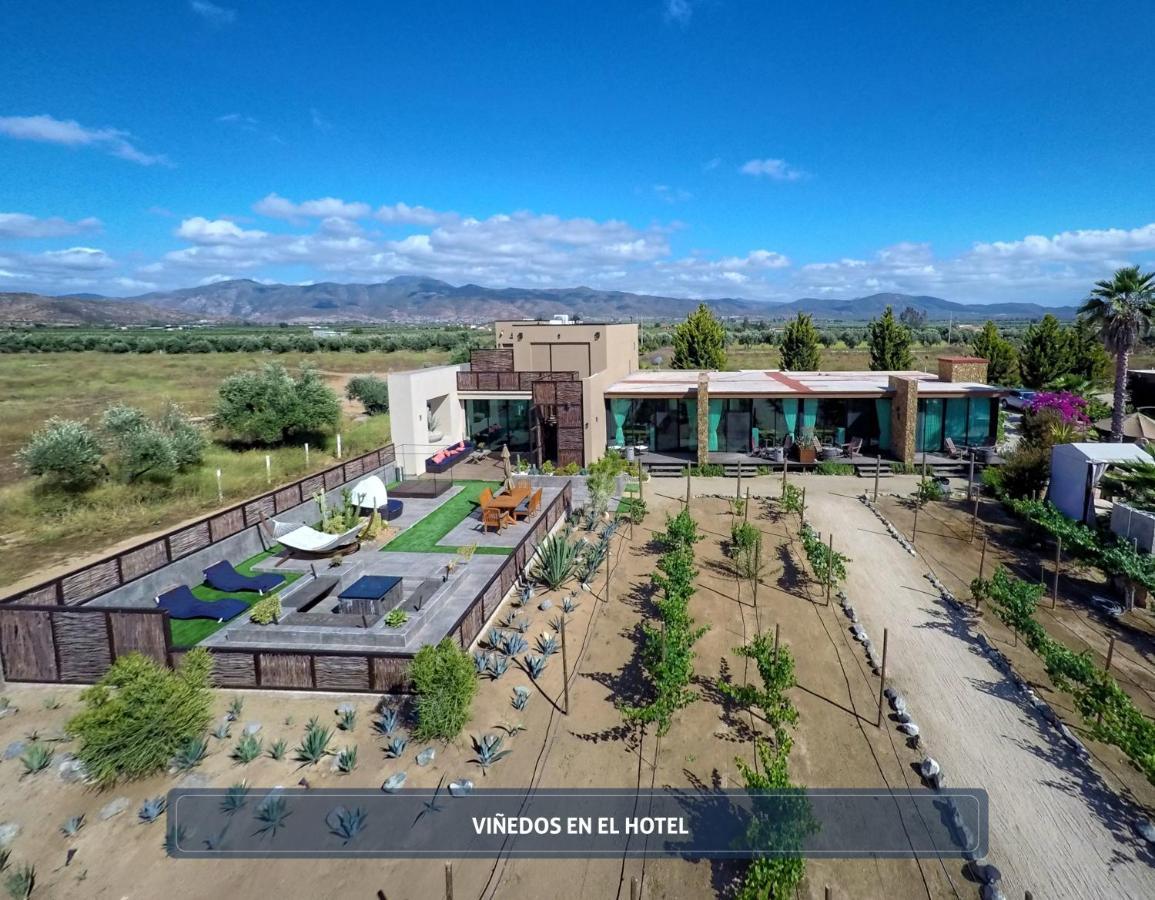 Entre Vinedos By Boutique Valle de Guadalupe