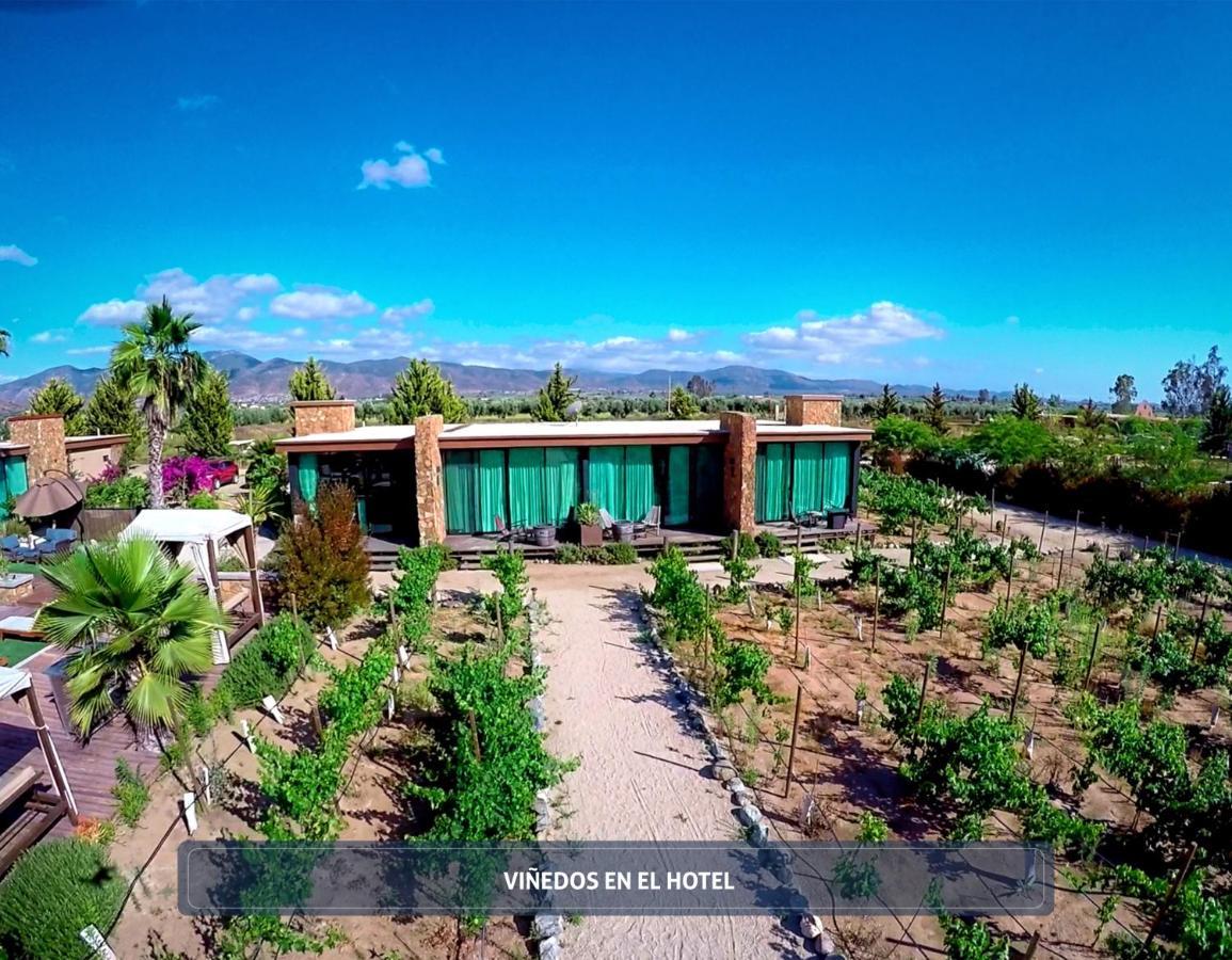 Hotel Entre Vinedos By Boutique 3*