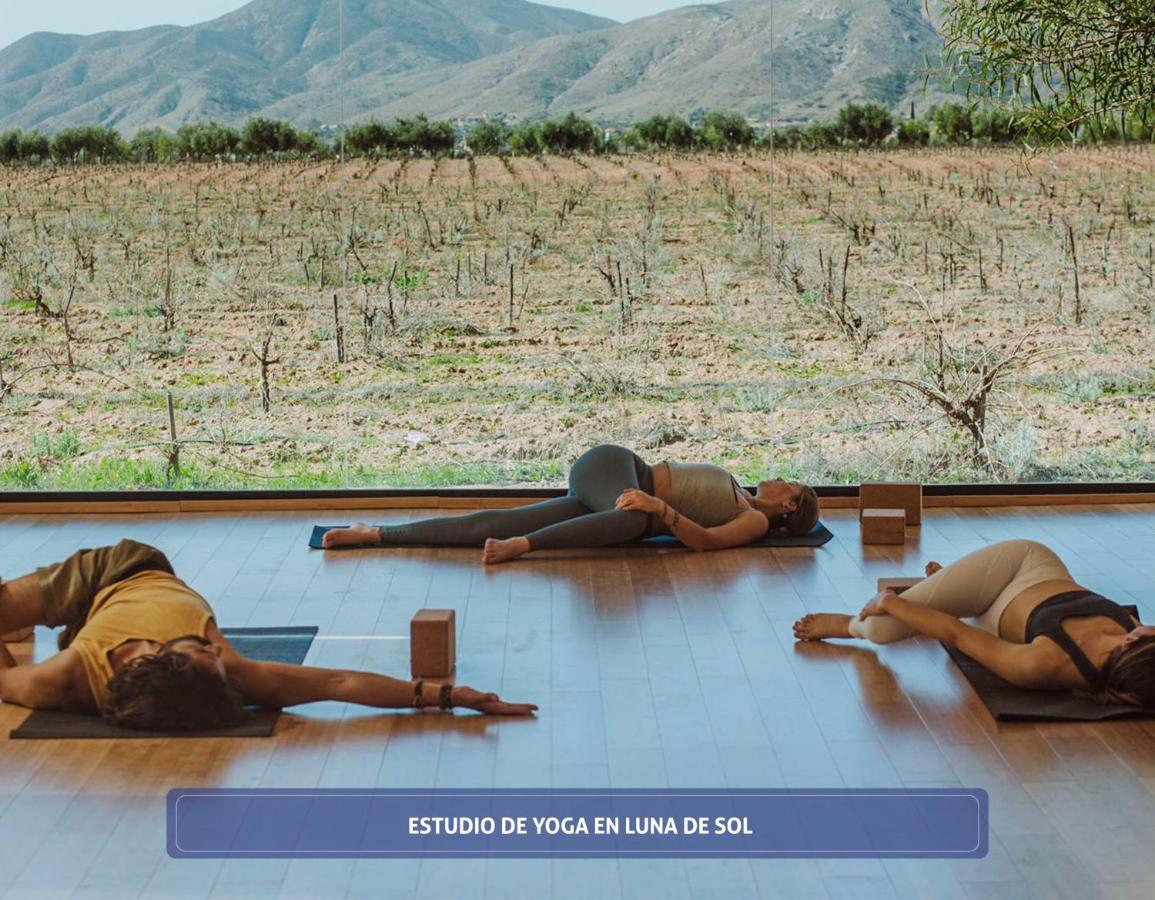 Entre Vinedos By Boutique Valle de Guadalupe