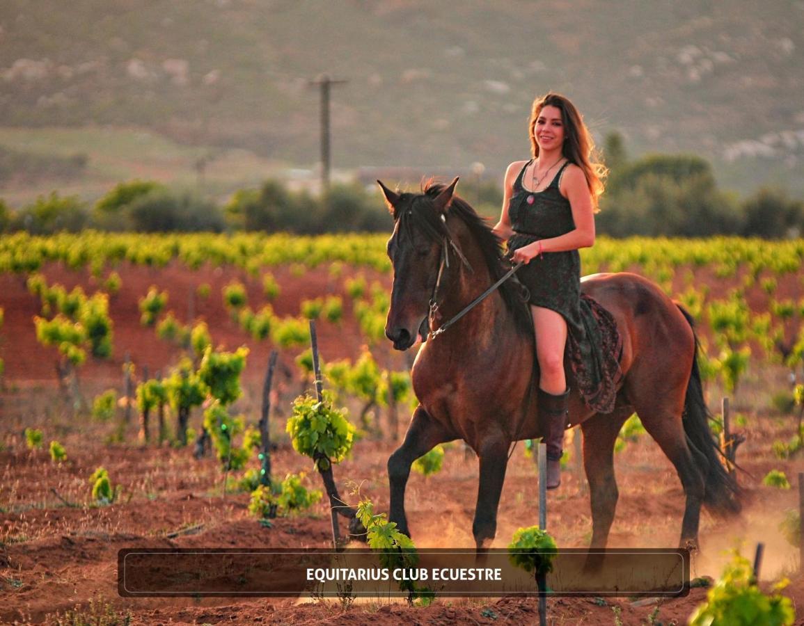 Entre Vinedos By Boutique Hotel