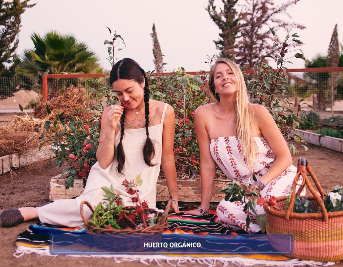 Entre Vinedos By Boutique Hotel