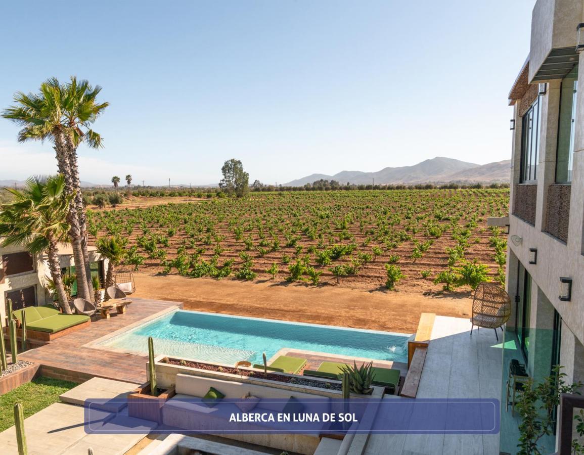 Entre Vinedos By Boutique Valle de Guadalupe