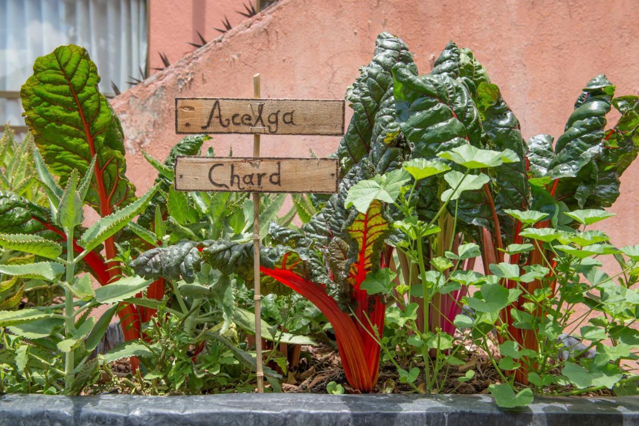 Casa Estrella De La Valenciana Boutique Hotel 4*