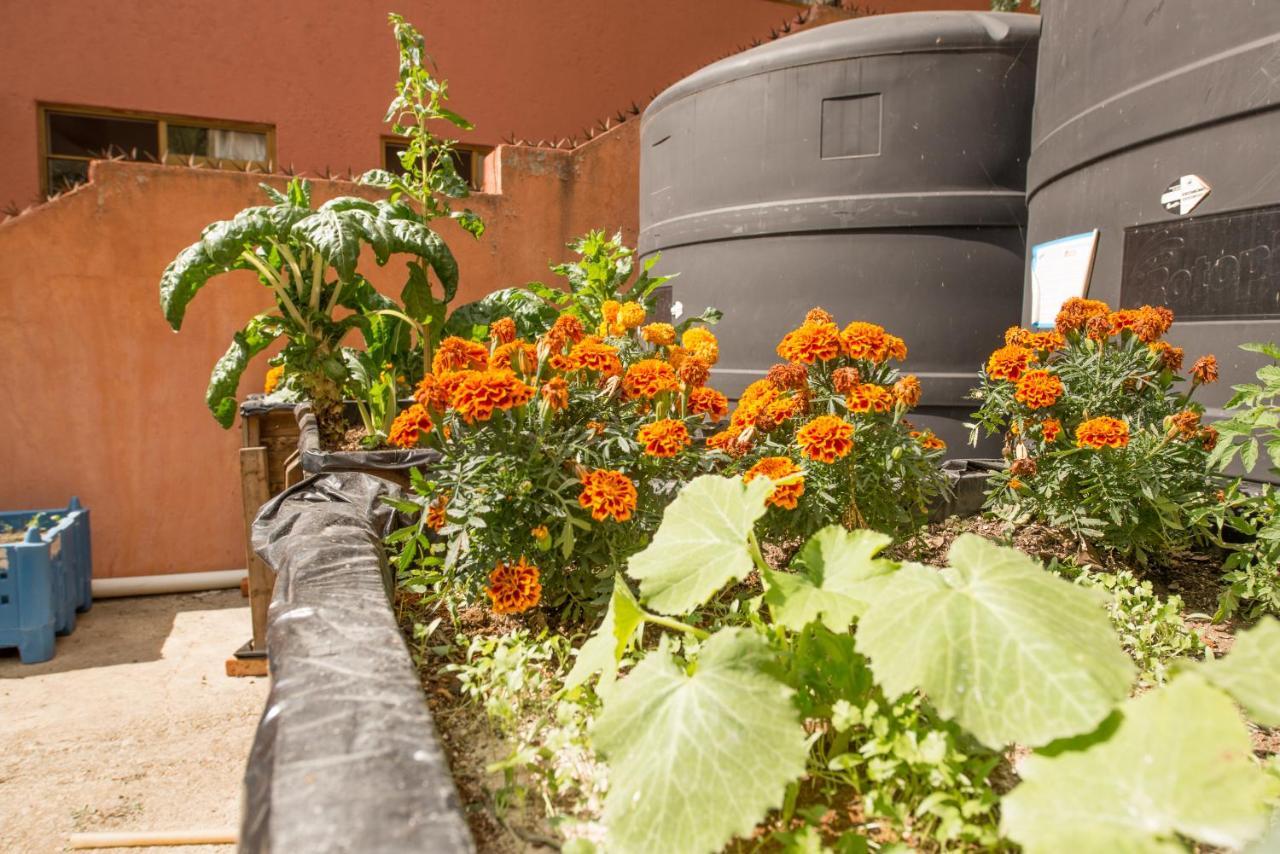 Casa Estrella De La Valenciana Boutique Hotel Guanajuato