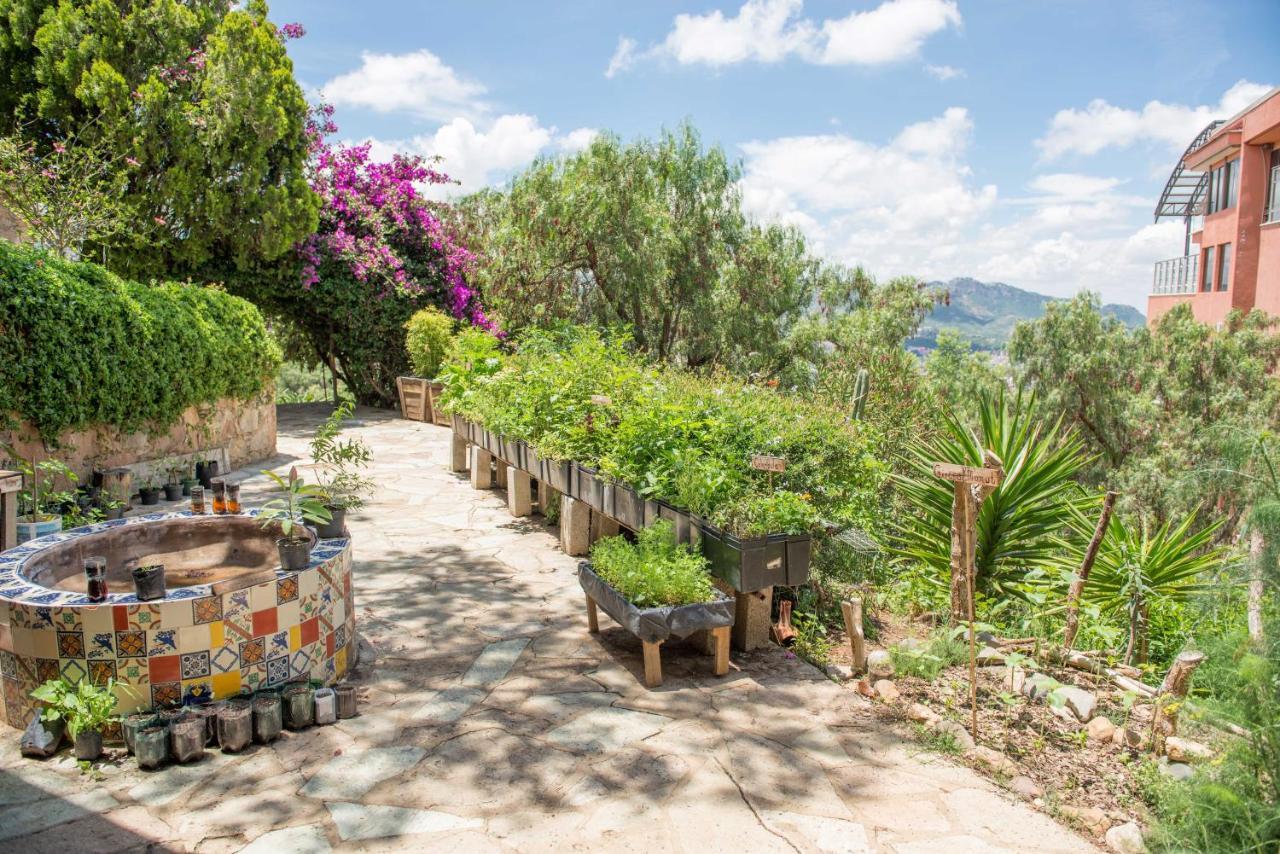 Casa Estrella De La Valenciana Boutique 4*