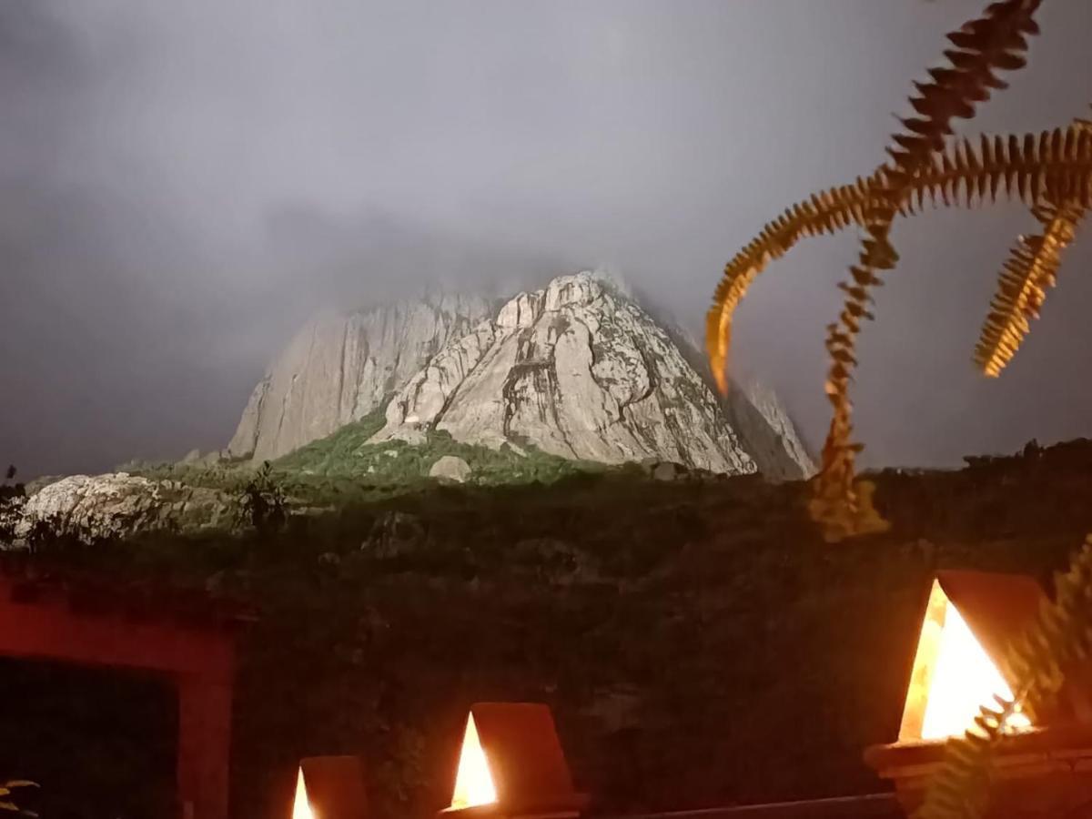 Casa Del Arbol * Bernal