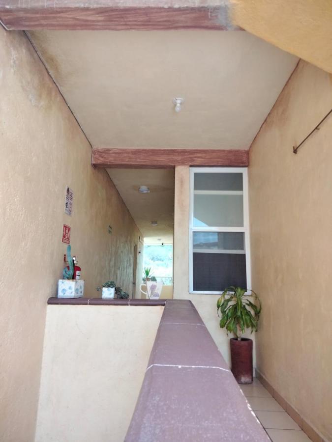 Casa Del Arbol