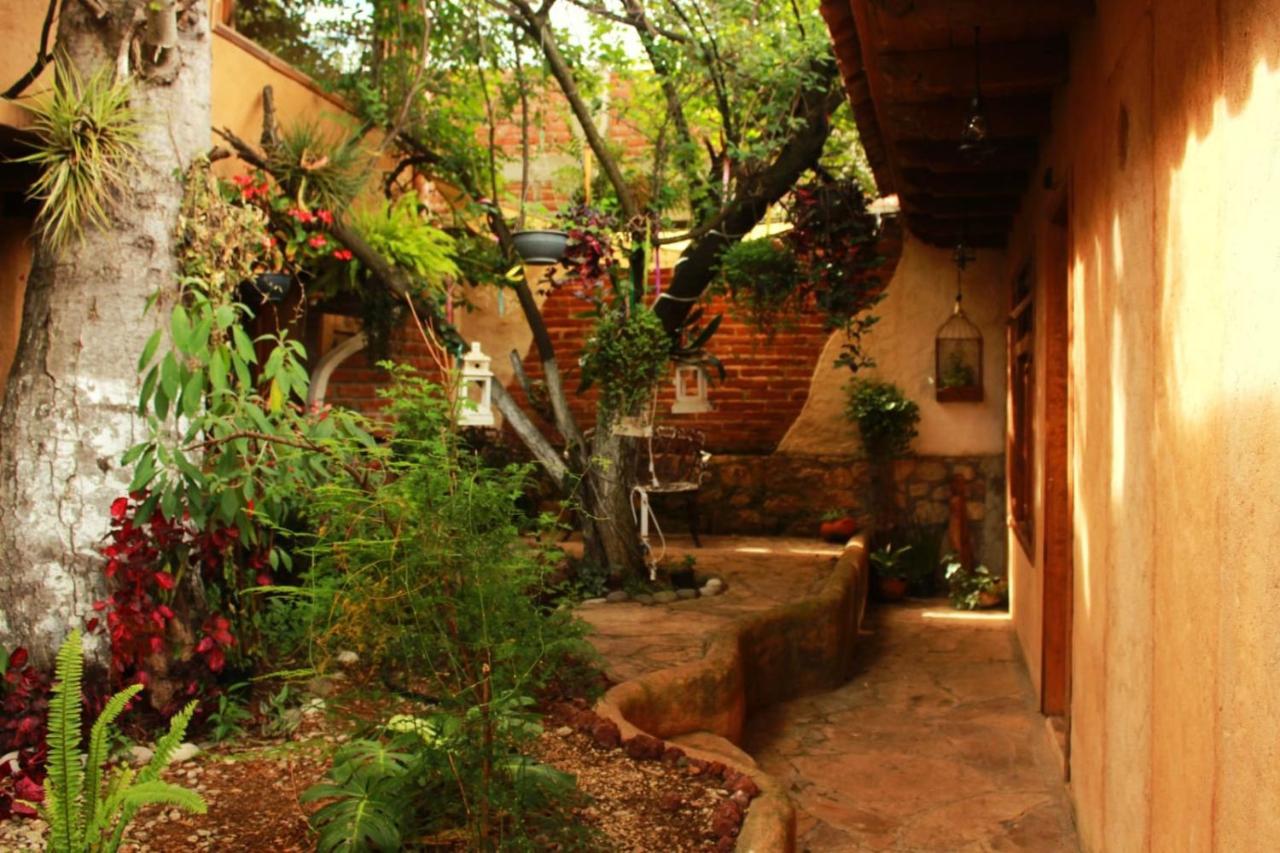 Guest house Boutique Paz Creativa