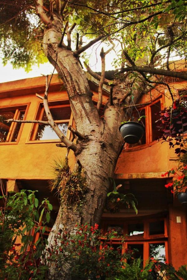 Guest house Boutique Paz Creativa *